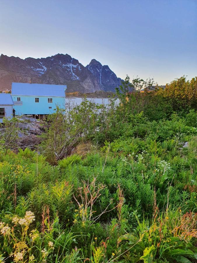 Lysvoldbrygga Bed & Breakfast Henningsvaer Luaran gambar