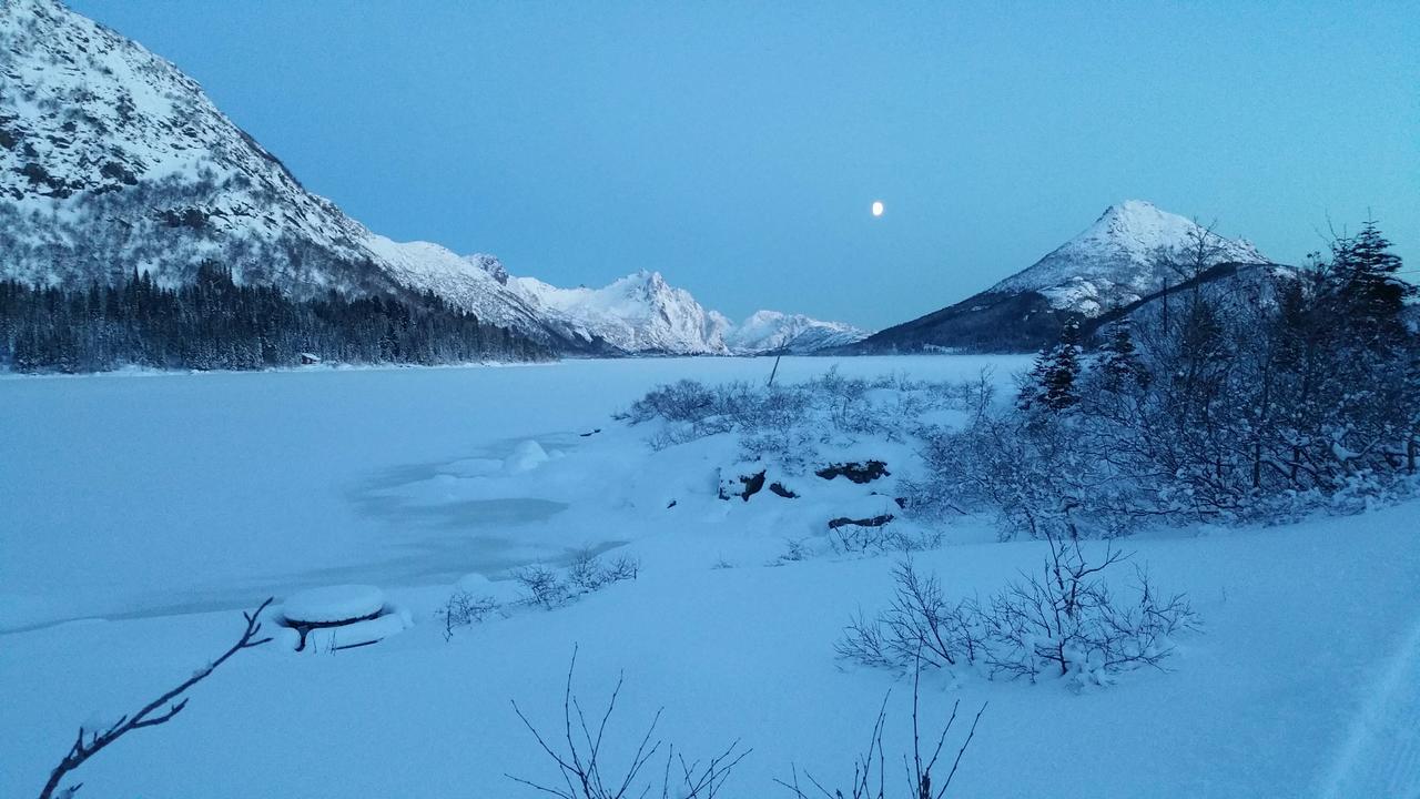 Lysvoldbrygga Bed & Breakfast Henningsvaer Luaran gambar
